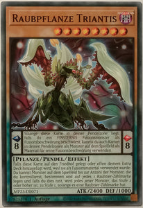 Raubpflanze Triantis - Common