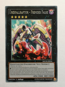 Überfallraptor - Fremder Falke - Rare